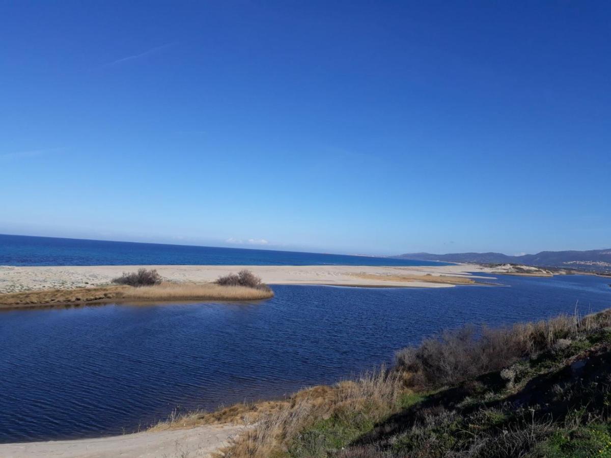 Gli Ulivi Lägenhet Valledoria  Rum bild